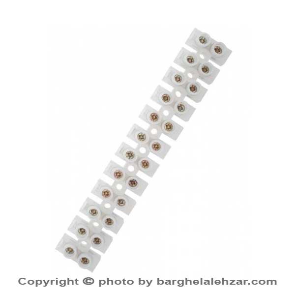 ترمینال برق 12 خانه سایز 6 رعدگستر